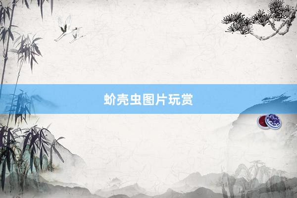 蚧壳虫图片玩赏