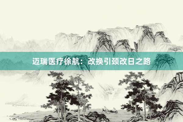 迈瑞医疗徐航：改换引颈改日之路