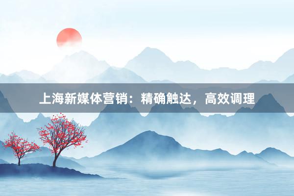 上海新媒体营销：精确触达，高效调理